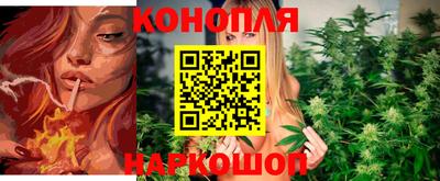 меф Кингисепп