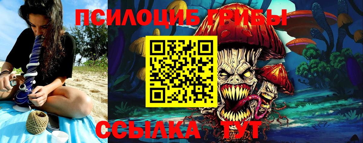 Псилоцибиновые грибы ЛСД Кисловодск